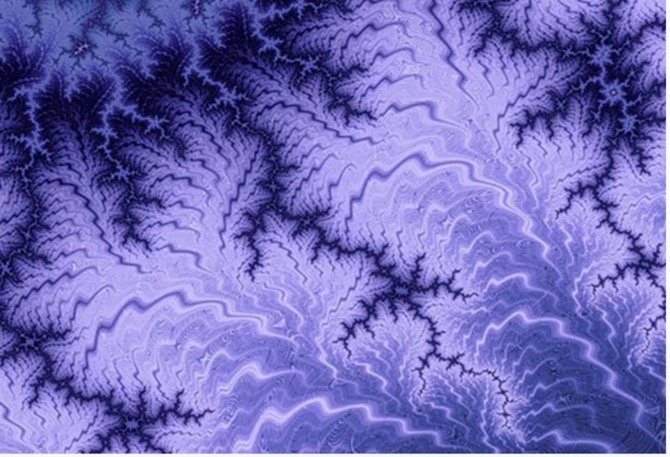 DNA TEST - APOE REPORT