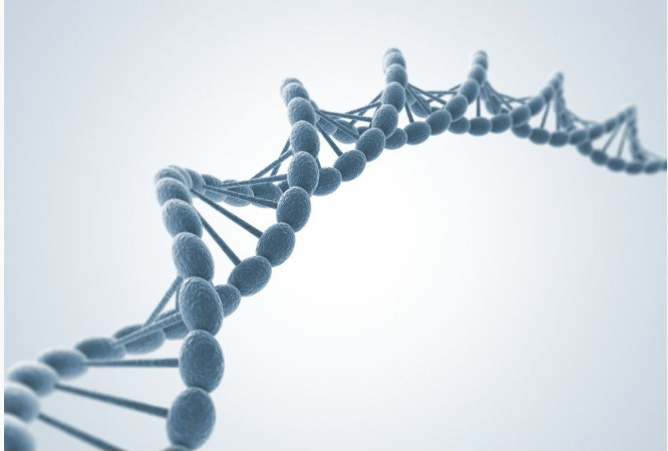 DNA TEST - METHYLATION REPORT
